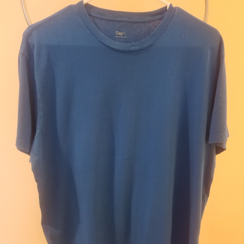 blue mens gap t shirt